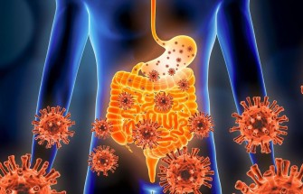 Gastro-ent&eacute;rite &agrave; Norovirus