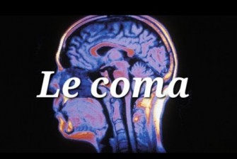 Mieux comprendre le Coma