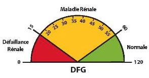 La mesure du débit de filtration glomérulaire (DFG)