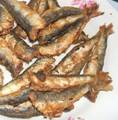 Friture de sardines