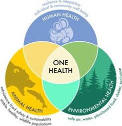 One Health : une seule sant&eacute; pour les &ecirc;tres vivants et les &eacute;cosyst&egrave;mes