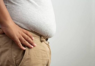 Alimentation pour r&eacute;sistance &agrave; l&rsquo;insuline